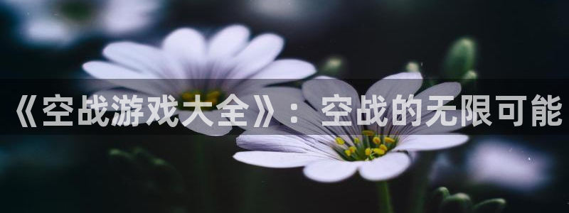 J9是什么